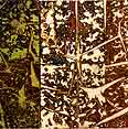 untitled 2004