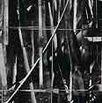 untitled 1997